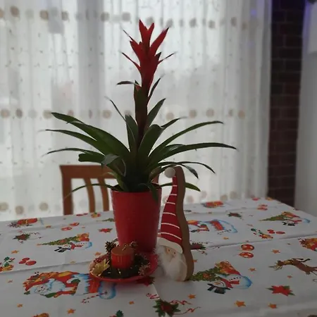 克里斯蒂娜丽城酒店 3* 科尔贝尼